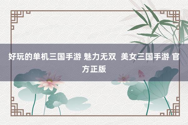 好玩的单机三国手游 魅力无双  美女三国手游 官方正版