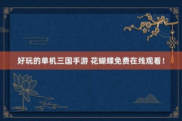 好玩的单机三国手游 花蝴蝶免费在线观看！
