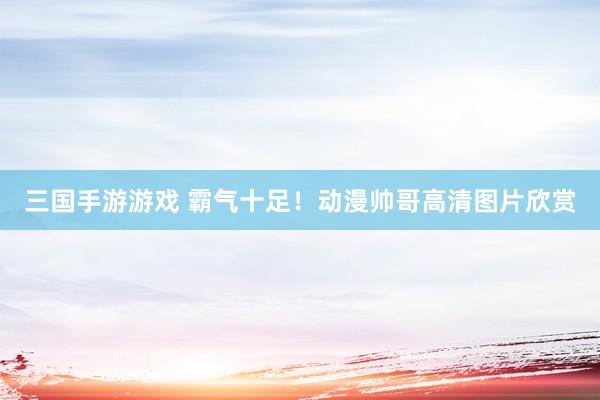 三国手游游戏 霸气十足！动漫帅哥高清图片欣赏