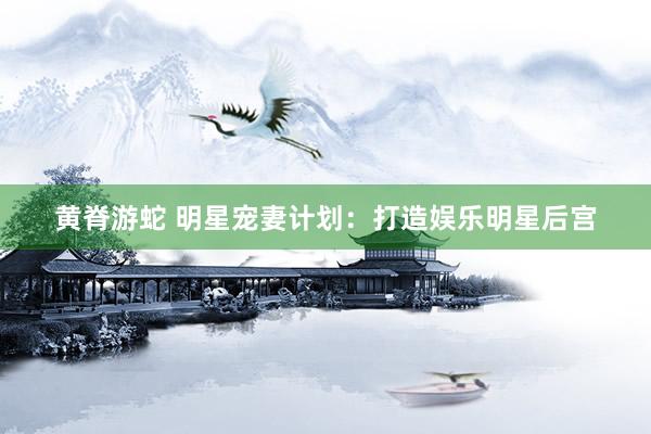 黄脊游蛇 明星宠妻计划：打造娱乐明星后宫