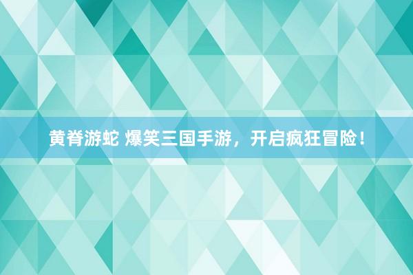 黄脊游蛇 爆笑三国手游，开启疯狂冒险！